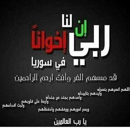 لايوجد لايوجد