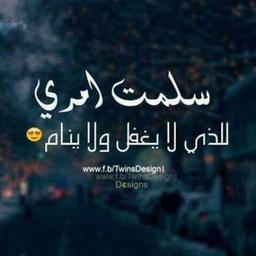 شركة برلين لتجارة المولدات الكهرباء وقطع الغيار