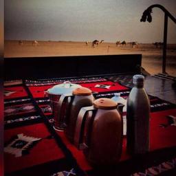 عقاب المطيري