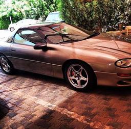 بو عبدالوهاب