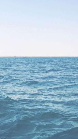 يوسف الرامزي