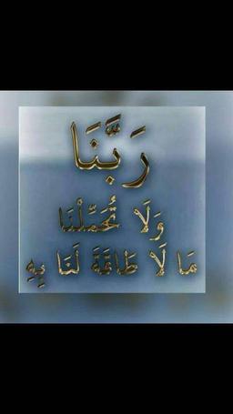 ابو شهاب الحاج 