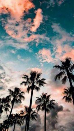 بسام احمد محمد 