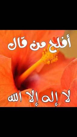 مستخدم 4Sale للبيع 