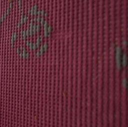 جراح المطيري