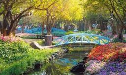 بدر ابو ناصر