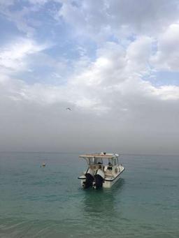 ابو عبدالرحمن 