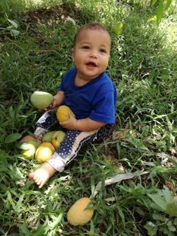 ابو عمر عبدالعزيز