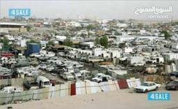 محمد ألدشناوي