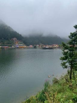 محمد العجمي