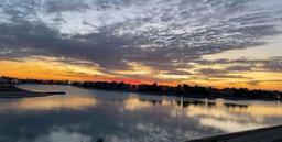 احمد بوشهري