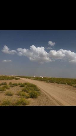 سعود السبيعي