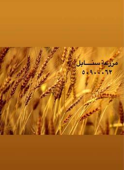 ابو محمد العازمي 