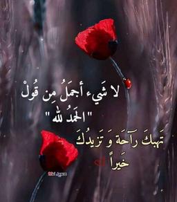 محمد الطاهر