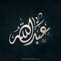 عبدالله العتيبي