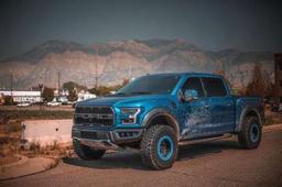 ابو شاهين ..