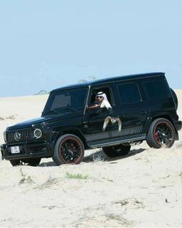 محمد العنزي