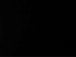 محمد الحربي