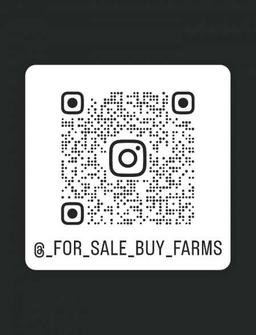 بندر الشمري