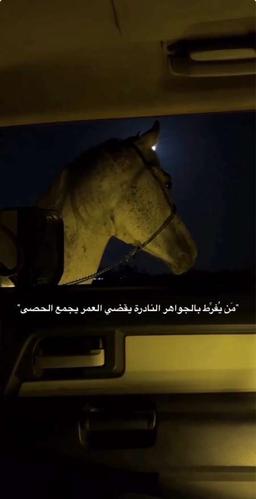 فهد الحميدي 