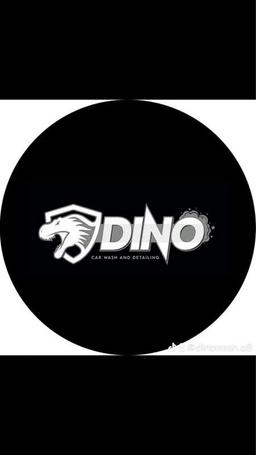 Dino Wash 