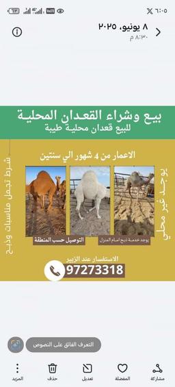 الزبير ابواحمد 