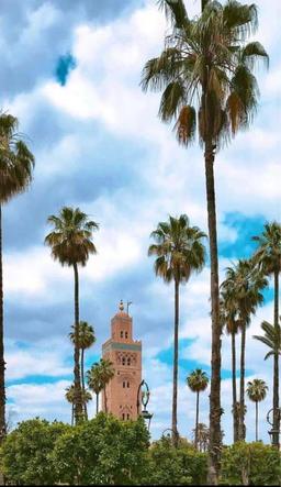 بوعلي بوعلي