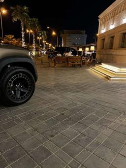 فهد المطيري 