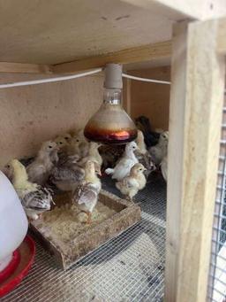 فهد العازمي