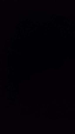 محمد عبد الكريم 