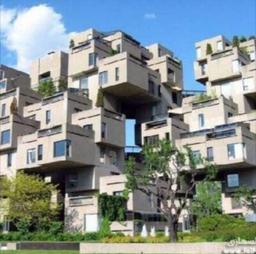 ابو خالد الشمري