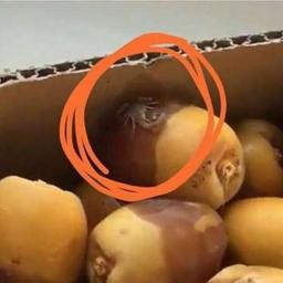 محمود عرب العطيات