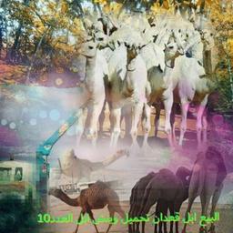 user 99999 user 99999