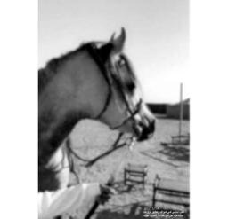 بــدر الععتيبي :) ✪