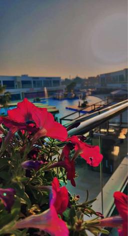 مستخدم فورسيل