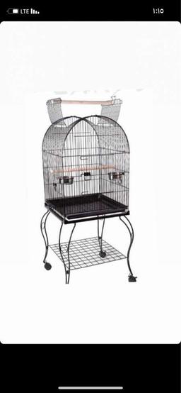 parrot_cage instagram