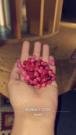 عبدالله الكندري