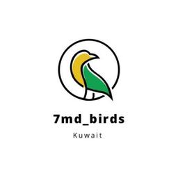7md_birds