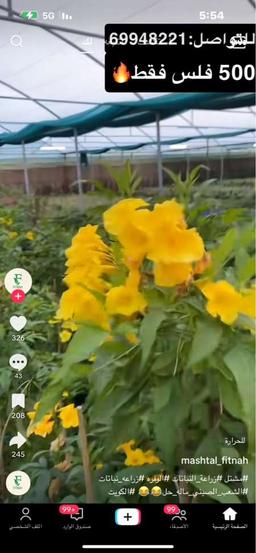 بسم الله و الحمدلله