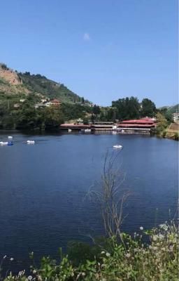 ابو خالد المطيري